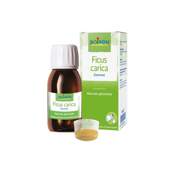 Boiron Ficus Carica Gemme Macerato Glicerinato 60 Ml