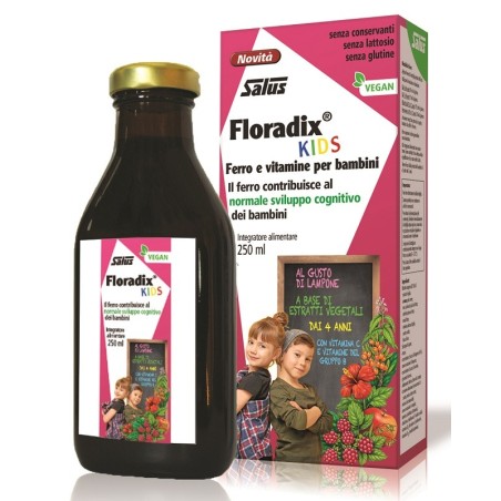 Salus Haus Gmbh & Co Kg Floradix Kids integratore 250 Ml