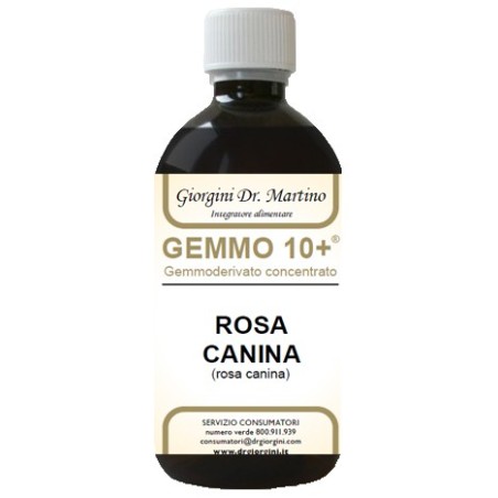 Dr Giorgini Ser-vis Gemmo 10+ Rosa Canina Liquido Analcolico 500 Ml