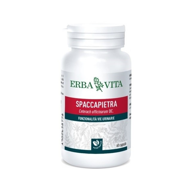 Erba Vita Spaccapietra 60 Capsule integratore per le vie urinarie