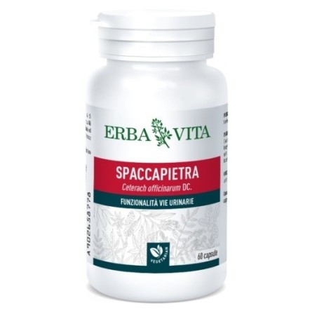 Erba Vita Spaccapietra 60 Capsule integratore per le vie urinarie