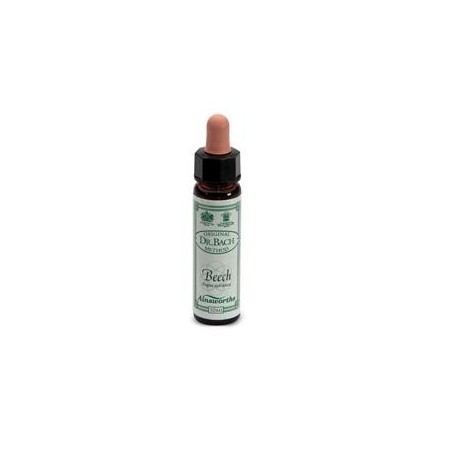 Santiveri Sa Ainsworths Beech fiori di bach 10ml