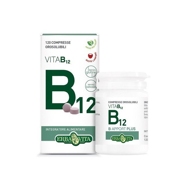 Erba Vita Group B Apport Vitamina B12 120 Compresse Orosolubili