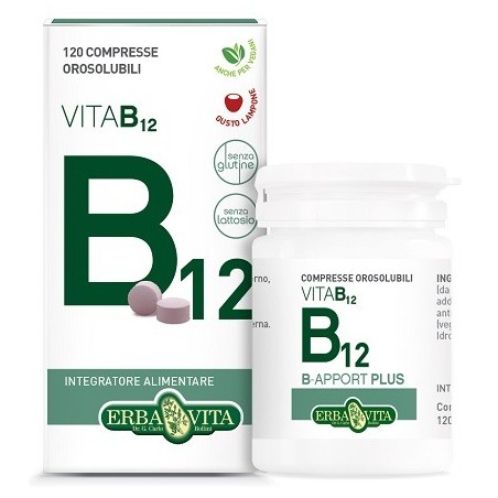 Erba Vita Group B Apport Vitamina B12 120 Compresse Orosolubili