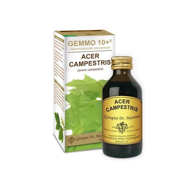 Dr Giorgini Gemmo 10+ Acero Campestre 100 Ml Liquido Analcolico