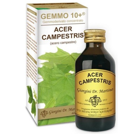 Dr Giorgini Gemmo 10+ Acero Campestre 100 Ml Liquido Analcolico