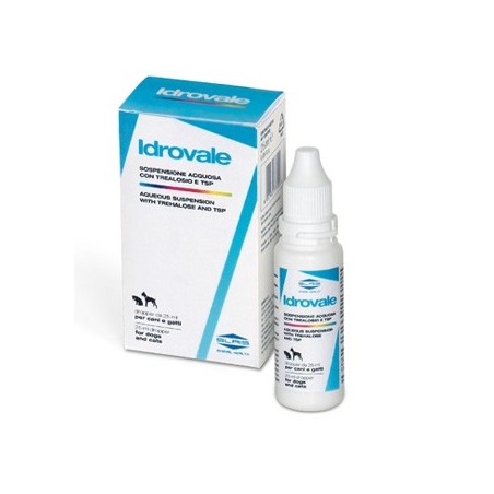 Slais Idrovale sospensione acquosa oculare 25 Ml