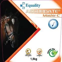 Equality Vetrap Fascia Elastica Verde per cavalli 5cm