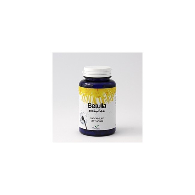 Phytoitalia Betulla integratore 60 Capsule