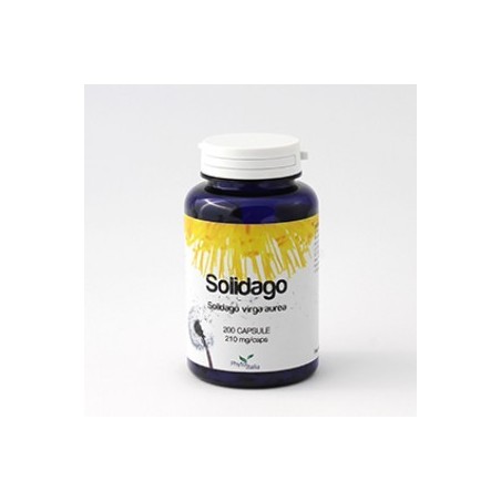 Phytoitalia Solidago integratore 60 Capsule