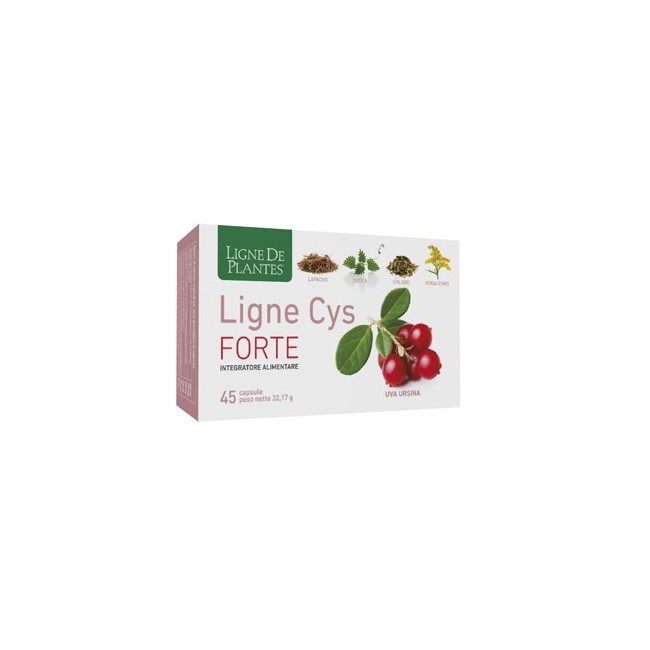 Natura Service Ligne Cys Forte 45 Capsule