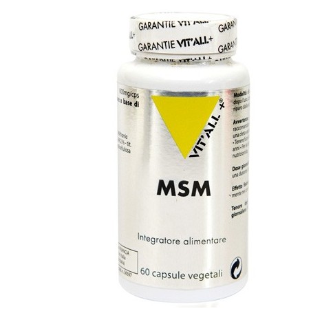 Vital Plus Msm 60 Capsule integratore di metilsulfonilmetano