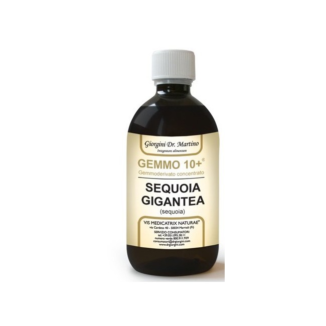 Dr. Giorgini Ser-vis Gemmo 10+ Sequoia 500 Ml Liquido Analcolico