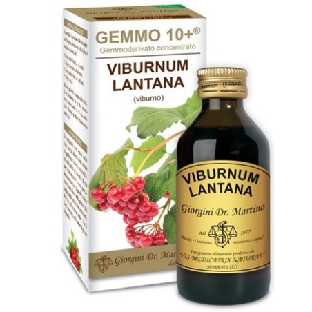 Dr. Giorgini Ser-vis Viburno Liquido Analcolico Gemmo 10+ 100 Ml