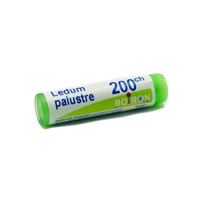 Boiron Ledum Palustre 200ch Globuli