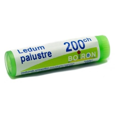 Boiron Ledum Palustre 200ch Globuli