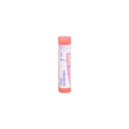 Boiron Arsenicum iodatum 7 ch granuli