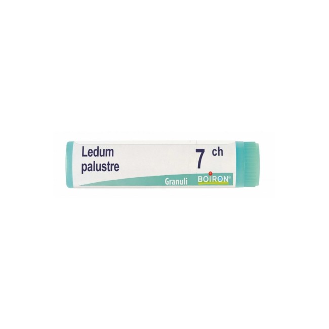 Boiron Ledum Palustre 7ch Globuli