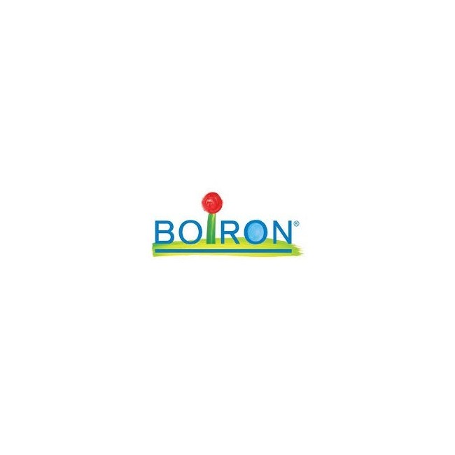 Boiron Sulfur iodatum 10mk dose globuli