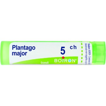 Boiron Plantago Major 5ch Granuli