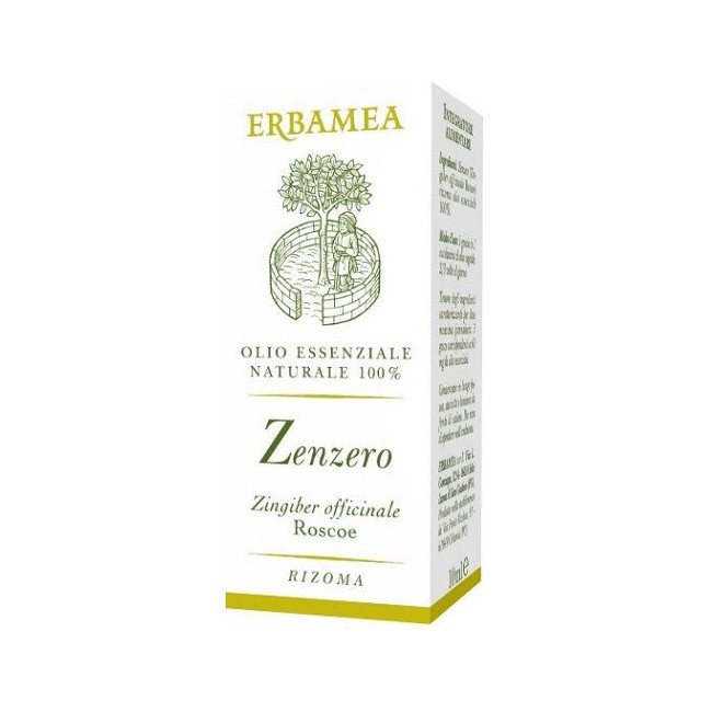 Erbamea Zenzero olio essenziale gocce 10 Ml