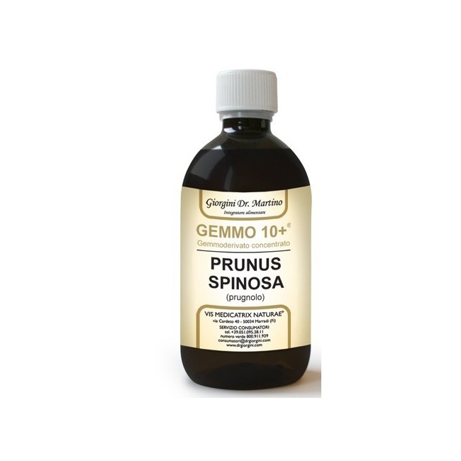 Dr. Giorgini Ser-vis Gemmo 10+ Prugnolo 500 Ml Liquido Analcolico