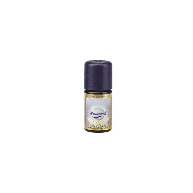 Biotobio Menta Piperita olio essenziale 10 Ml