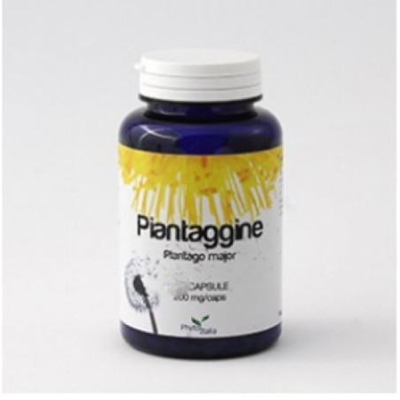 Phytoitalia Piantaggine integratore 60 Capsule