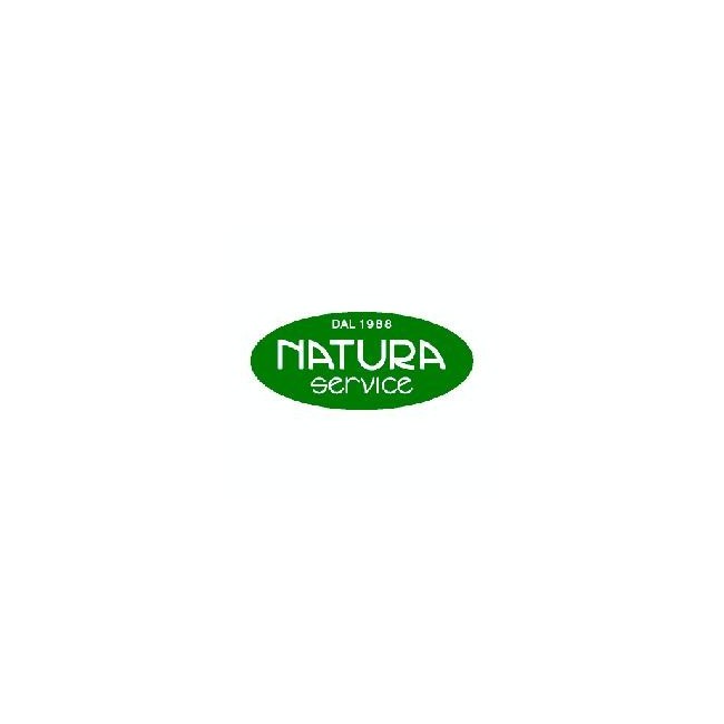 Natura Service Ginkgo Biloba Biologico 20 Ampolle 15 Ml