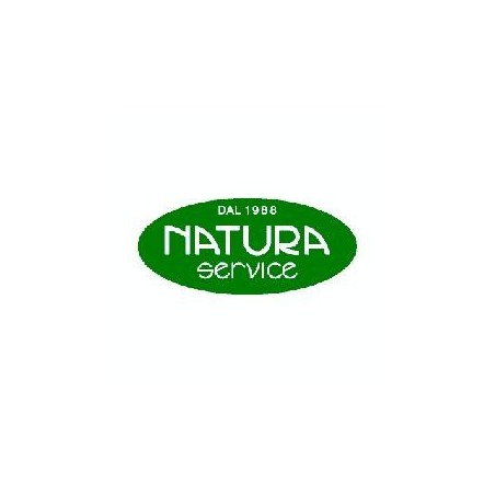 Natura Service Ginkgo Biloba Biologico 20 Ampolle 15 Ml