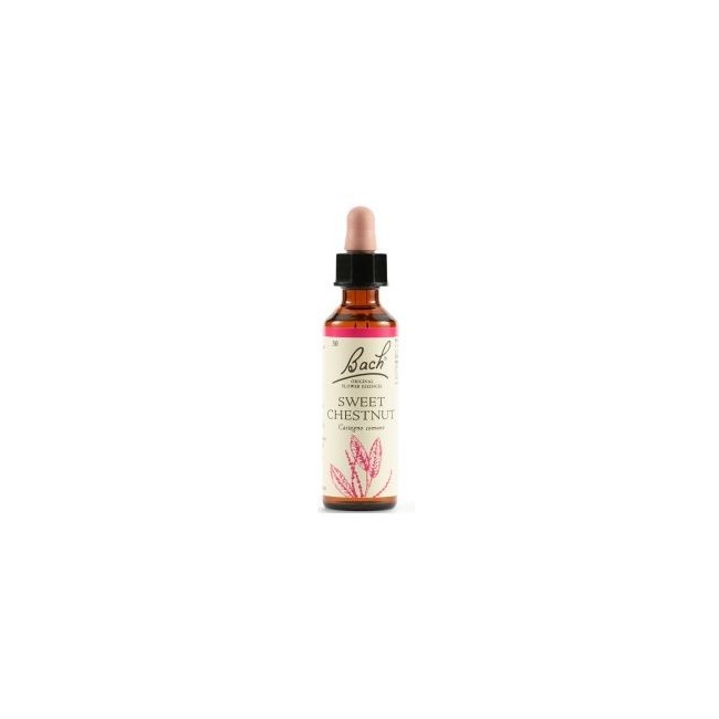 Schwabe pharma Sweet chestnut bach original 20ml