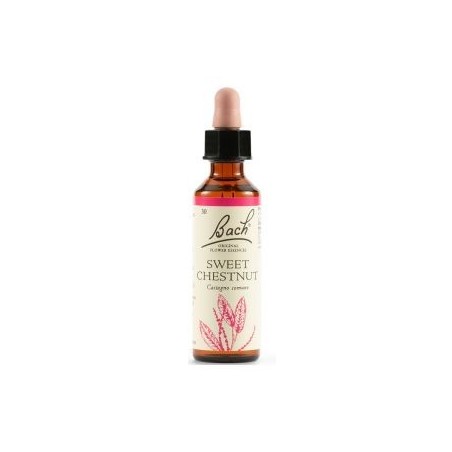 Schwabe pharma Sweet chestnut bach original 20ml