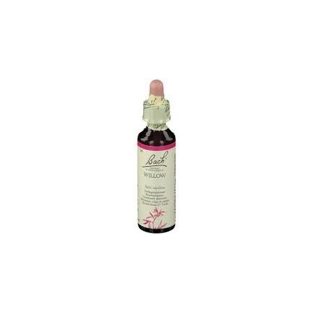 Schwabe pharma Willow bach original 20ml