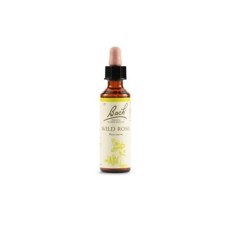 Schwabe pharma Wild rose bach original 20ml