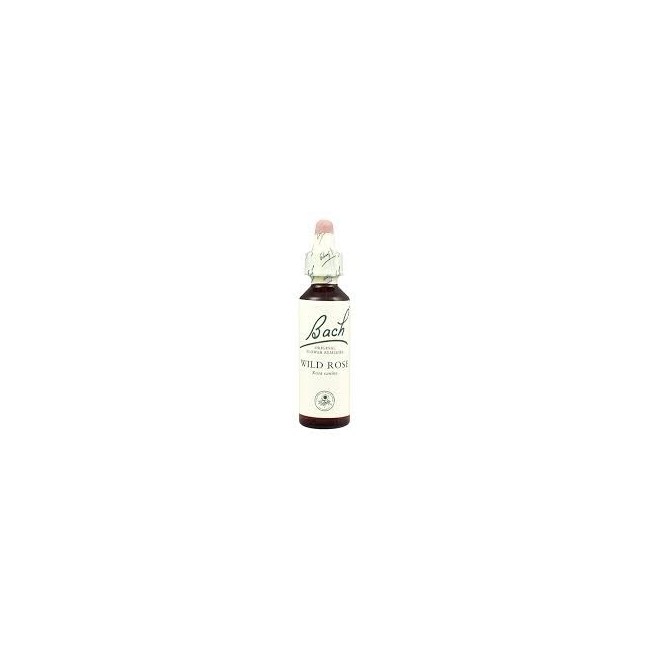 Bach center essenza wild rose gocce 20ml