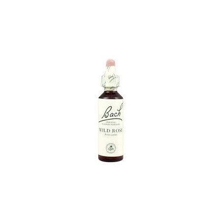 Bach center essenza wild rose gocce 20ml