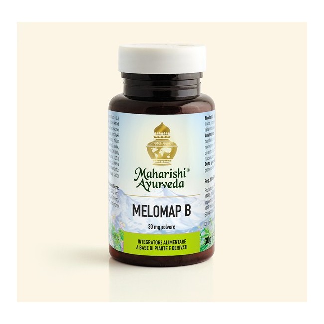 Melomap B Polvere 30g