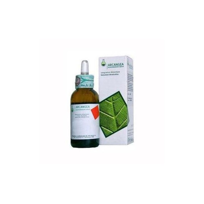 Arcangea Viscum album gemmoderivato 33 bio 50 ml