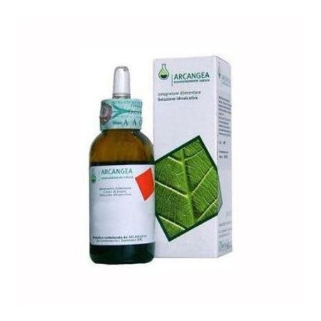 Arcangea Viscum album gemmoderivato 33 bio 50 ml