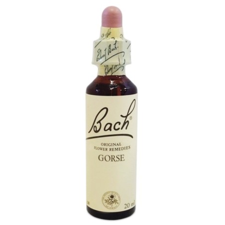 Bach Center Essenza Gorse 20ml