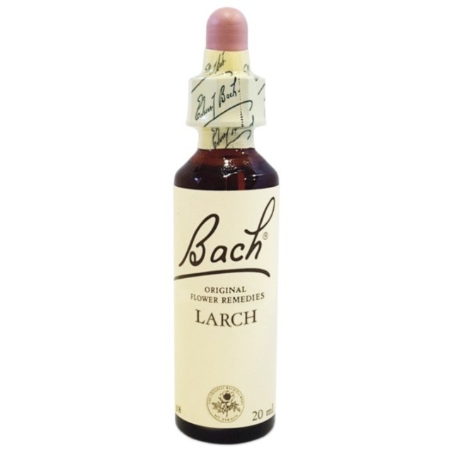 Bach Center Essenza Larch 20ml