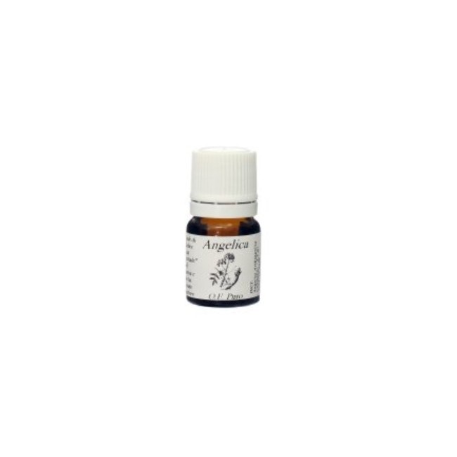 Natur Angelica olio essenziale gocce 7,4 ml