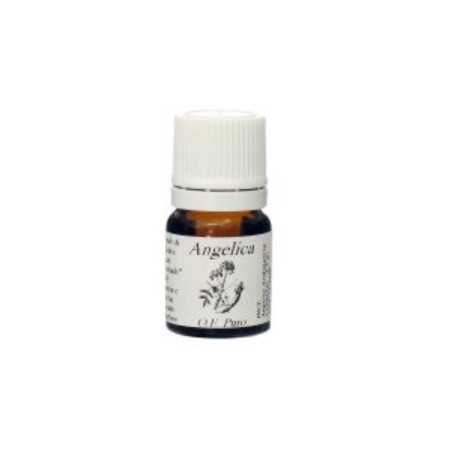 Natur Angelica olio essenziale gocce 7,4 ml