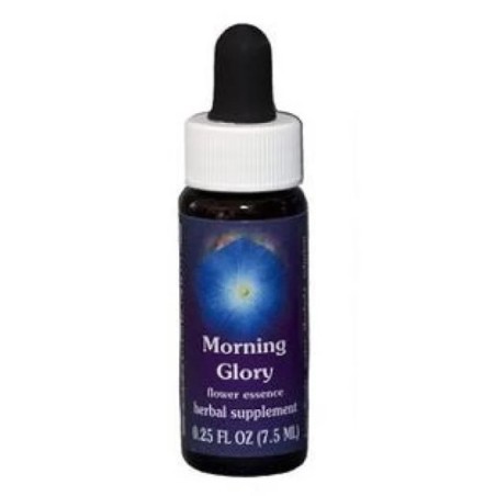 Morning Glory Essenza 7,4ml Californiana