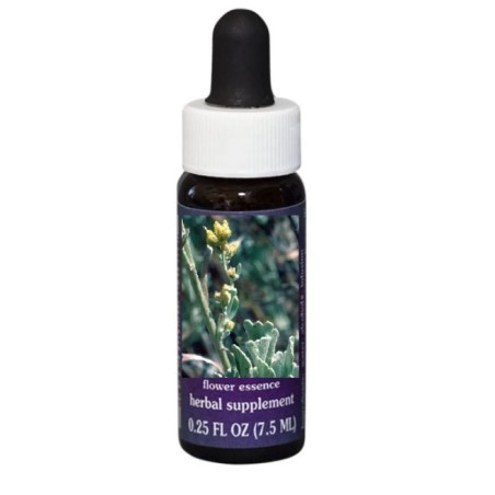 Natur Sagebrush Essenza 7,4ml Californiana