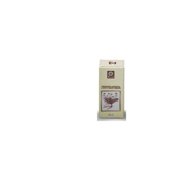 Ecol Rosa Canina Gemme Analcolico gocce 50 Ml