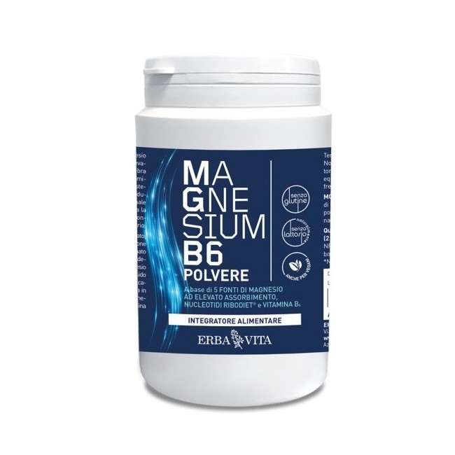 Erba Vita Group Magnesium B6 Polvere 200 G