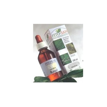 angalli Ginkgo Biloba Foglie Tintura Madre 100 Ml