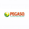 Pegaso srl