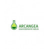 Arcangea